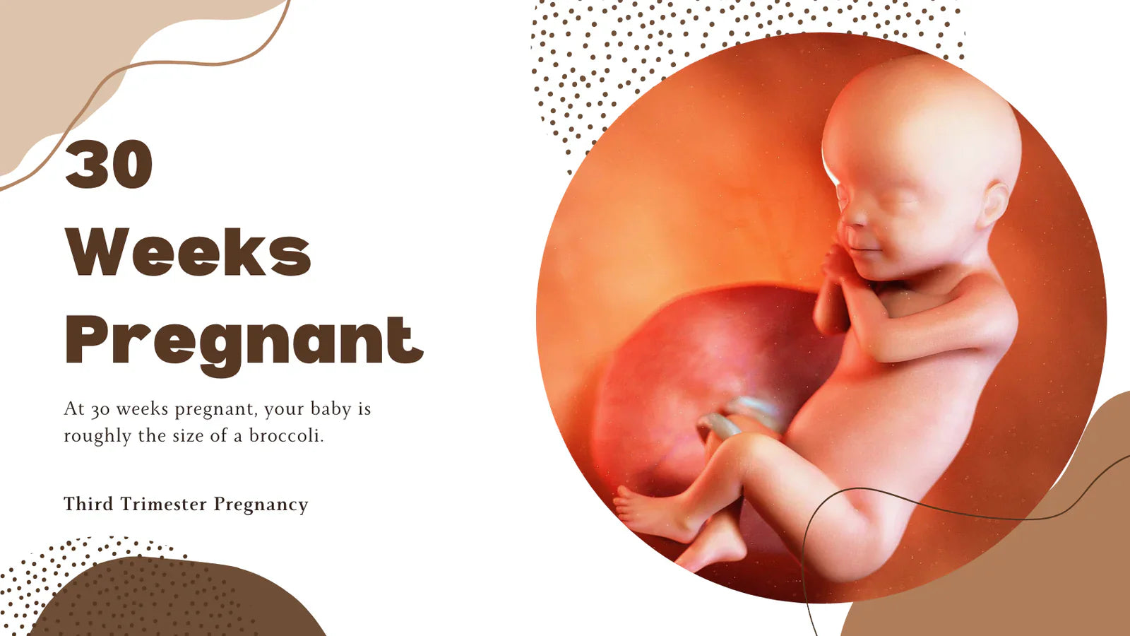 30 Weeks Pregnant