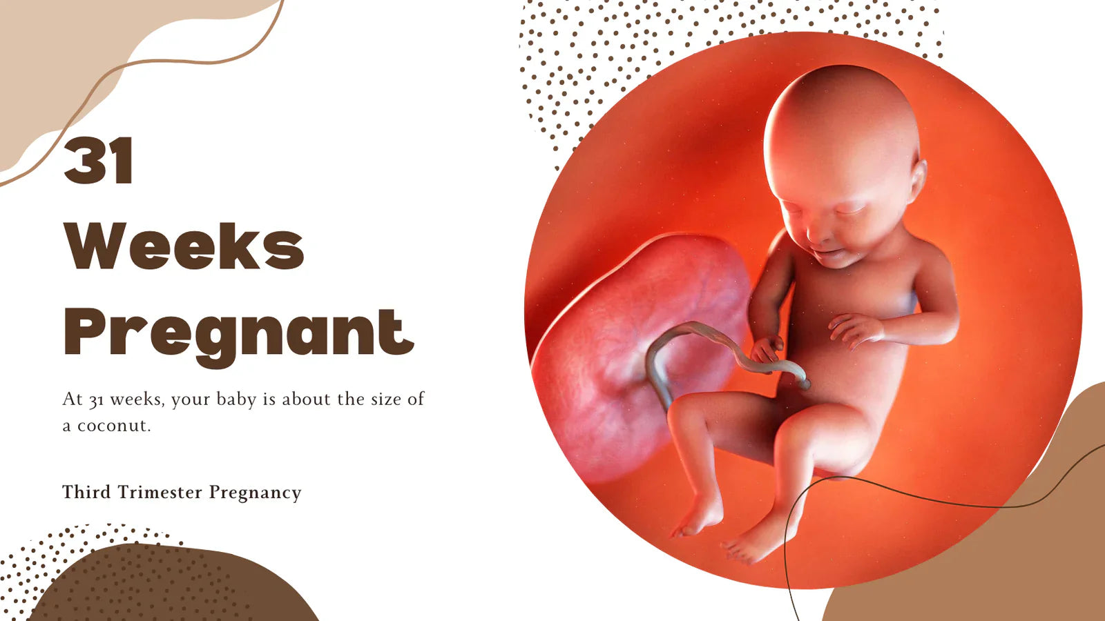 31 Weeks Pregnant