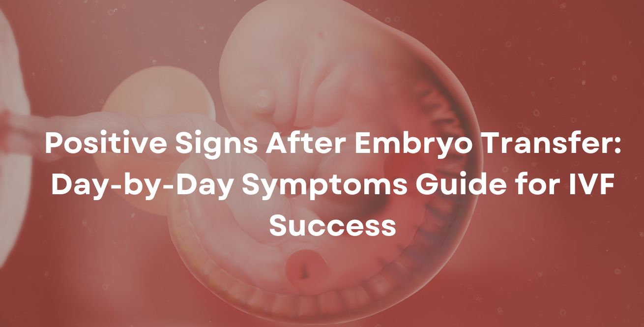 Positive Signs After Embryo Transfer: Day-by-Day Symptoms Guide for IVF Success