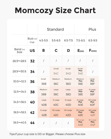 Understanding the Bra Size Chart